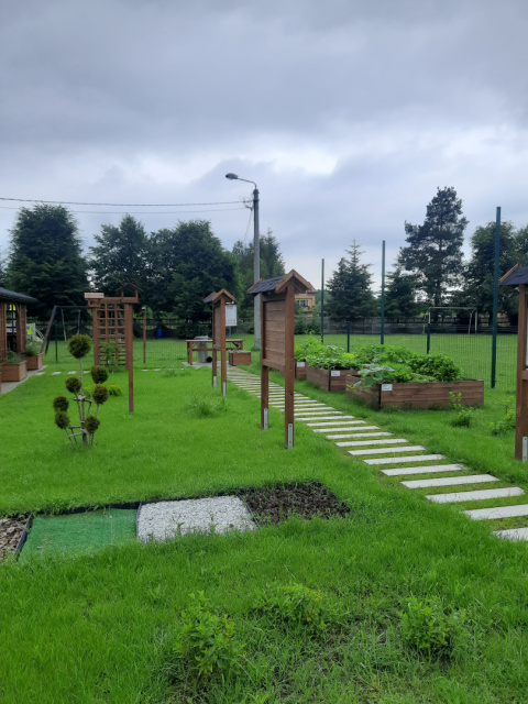 Ekopracownia pod chmurką 2025 Ekopracownia pod chmurką 2025