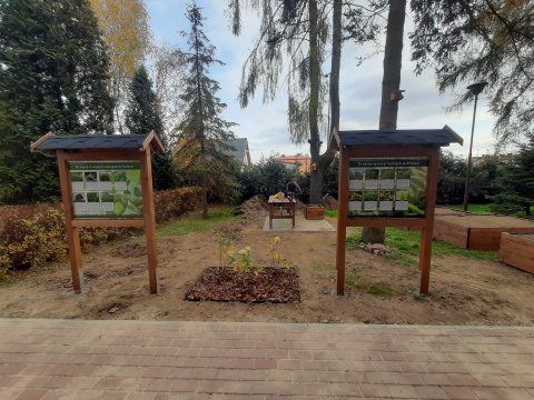 Ekopracownia pod chmurką 2025 Ekopracownia pod chmurką 2025