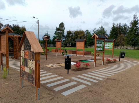 Ekopracownia pod chmurką 2025 Ekopracownia pod chmurką 2025