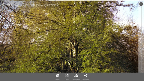 Aplikacja Corinth - Biologia Roślin Aplikacja Corinth - Biologia Roślin
