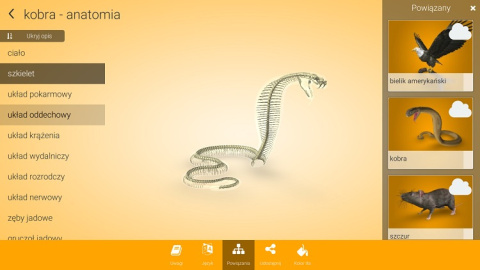 Aplikacja Corinth - Biologia Zwierząt Aplikacja Corinth - Biologia Zwierząt