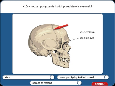 Didakta - Multilicencja nieograniczona czasowo - Biologia 1 - Nauka o człowieku Didakta - Multilicencja nieograniczona czasowo - Biologia 1 - Nauka o człowieku