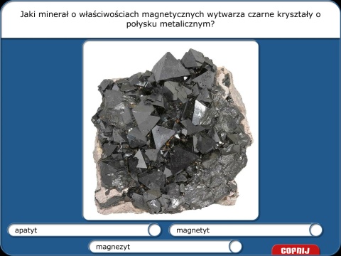 Didakta - Multilicencja nieograniczona czasowo - Przyroda nieożywiona i ekologia Didakta - Multilicencja nieograniczona czasowo - Przyroda nieożywiona i ekologia