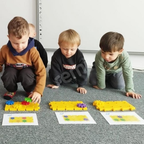 EDU KORBO MALUCH EDU KORBO MALUCH