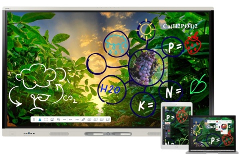 Monitor interaktywny SMART MX286 V5 86" 4K Android | do szkół i firm Monitor interaktywny SMART MX286 V5 86" 4K Android | do szkół i firm