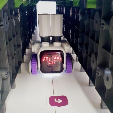 ROBOT EDEK ZESTAW 3+