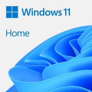 ESD Windows 11 Home