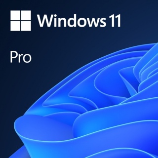 ESD Windows 11 Pro