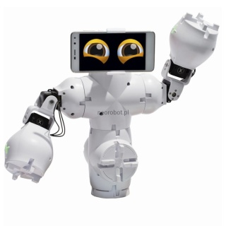 Fable Explore - AI Interaktin Robot