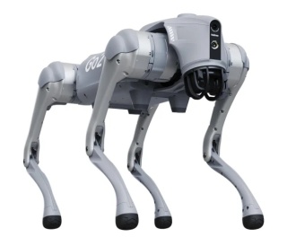 Robot kroczący Unitree Go2 Edu Standard U1 do szkół i laboratoriów