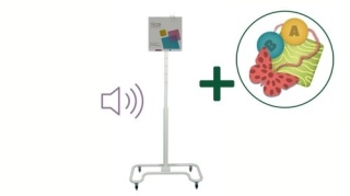 Zestaw SmartFloor Standard Mobile Audio Rewalidacja